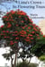 Lima's Crown - Its Flowering Trees