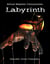 Mind Master Chronicles: Labyrinth - Mind Master Chronicles, #1