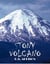 Stony Volcano