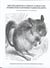 Mrs Fieldmouse's Choice: Fables and Stories for Partnered Paired Reading