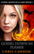 Going Down In Flames - Going Down In Flames, #1