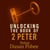 Unlocking The Book of 2 Peter