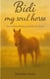 Bidi my soul Horse - Eine Seelenverbindung jenseits des Lebens