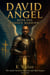 Chosen Warrior - David Angel, #1