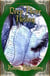 Deep River Rising - Tales from Deep River, #2