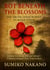 Rot Beneath the Blossoms