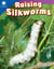 Raising Silkworms