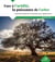 Face à l'aridité, la puissance de l'arbre - Inspirations paysannes et marocaines pour l'agroforesterie
