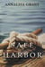 Safe Harbor (The Lake Series, Book 3) - The Lake Series, #3