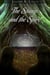 The Stump and the Spire - Book of Deacon, #10