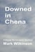 Downed in Chena: Justice beyond Limits