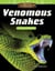 Amazing Animals: Venomous Snakes - Fractions and Decimals
