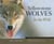 Yellowstone Wolves in the Wild