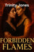 Forbidden Flames - Love in the Big Apple, #22