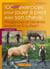 100 nouveaux exercices pour jouer à pieds avec son cheval