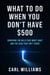 What To Do  When You Don’t Have $500  Surviving the Bills That Won’t Wait  and the Cash That Isn’t There