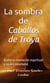 La sombra de Caballos de Troya   (Entre la revelación espiritual y su eco novelado)