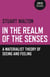 In The Realm of the Senses - A Materialist Theory of Seeing and Feeling