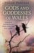 Pagan Portals - Gods and Goddesses of Wales - A Practical Introduction To Welsh Deities And Their Stories