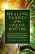 Healing Plants of the Celtic Druids - Ancient Celts in Britain and their Druid Healers Used Plant Medicine to Treat the Mind, Body and Soul