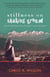 Stillness on Shaking Ground - A Woman's Himalayan Journey Through Love, Loss, And Letting Go