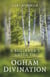 Beginner's Guide to Ogham Divination