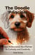 The Doodle Princple--How AI Becomes Your Partner in Curiosity and Creativity