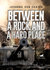 Between a Rock and a Hard Place - A Dutch Policeman Fighting the Nazi Occupation