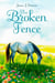 The Broken Fence - Silvery Flash