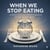 When We Stop Eating: Fasting, Faith, and the Restoration of the Human Body