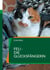 Feli - die Glücksfängerin - Geschichten aus dem Leben einer Katze