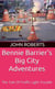 Bennie Barrier's Big City Adventures - The Tale Of Traffic Light Trouble - Bennie Barrier's Big City Adventures