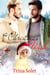 A Christmas Wish (Gay Holiday Romance)