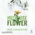 Hothouse flower - Tome 5 - Addicted to you - Addicted to you T5