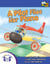 A Pilot Flies Her Plane