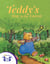 Teddy's Day in The Forest