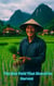 The Rice Field That Shared Its Harvest