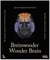 Wonder Brain