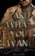 Take What You Want - Lusaka Lovers, #3