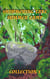 Shimmering Lake Summer Camp Collection 1 - Shimmering Lake Summer Camp, #2.5