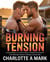 Burning Tension - The Firehorn Ranch Chronicle Series