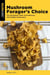 Mushroom Forager's Choice - The 50 Easiest, Safe, and Delicious Wild Edible Mushrooms