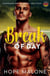 Break of Day : Deutsch - Coogans Break Series : Deutsch, #9