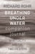 Breathing Under Water Companion Journal - Spirituality and the Twelve Steps