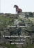 Europäisches Bergpony - Vom Exmoor-Pony zum Ponywild
