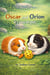 Oscar and Orion "It's Time to Play" - Oscar and Orion, #2