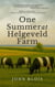 One Summer at Helgeveld Farm