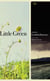 Little Green - A Novel