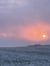Kestrel at sunset and other poems