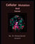 Cellular Mutations and Cancer